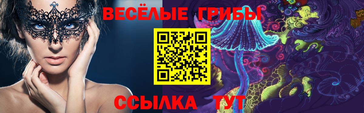 Каспийск  Галлюциногенные грибы прущие грибы  Вход с VPN  Псилоцибиновые грибы Cubensis 